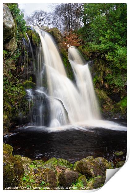 Posforth waterfall in the Bolton abbey estate Yorkshire dales 458 Print by PHILIP CHALK