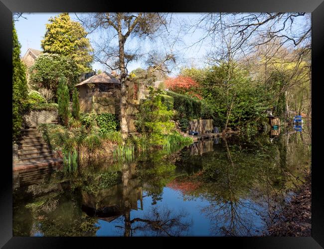 Basingstoke Canal Springtime Framed Print by Clive Eariss