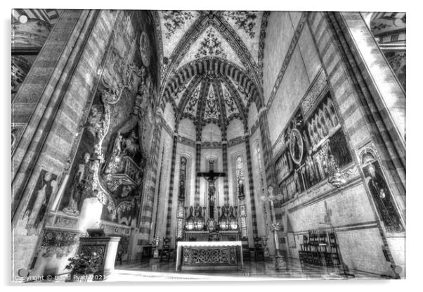 Verona Basilica  Acrylic by David Pyatt