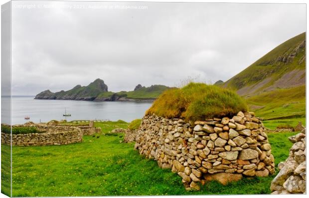 A view of Hirta Bay, St. Kilda, Outer Hebrides  Canvas Print by Navin Mistry
