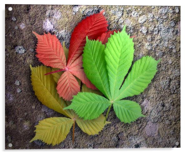 Seasoned Leaves Acrylic by Ray Pritchard