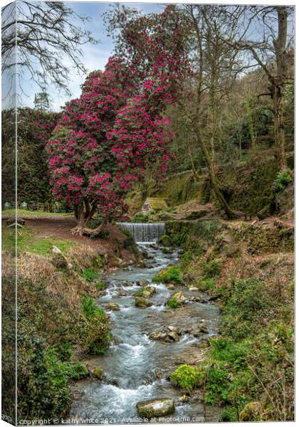 St Austell Cornwall, Menacuddle Well. and waterfal Canvas Print by kathy white