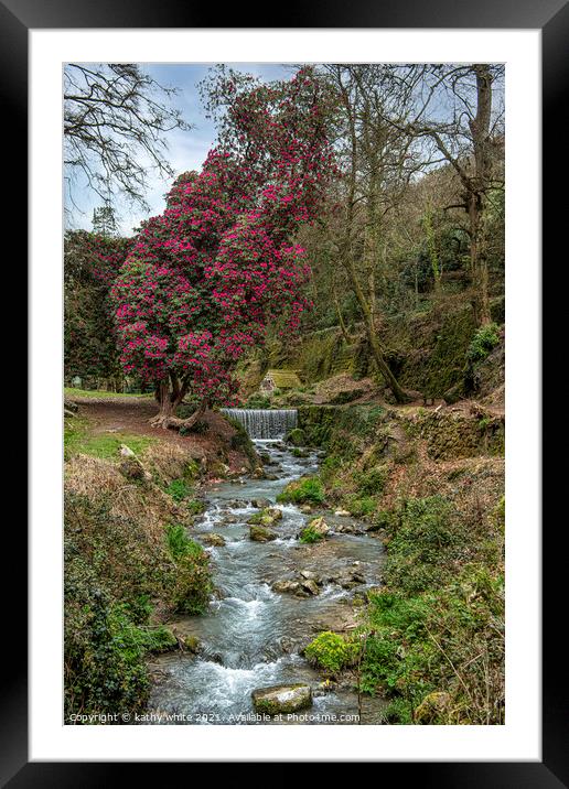 St Austell Cornwall, Menacuddle Well. and waterfal Framed Mounted Print by kathy white