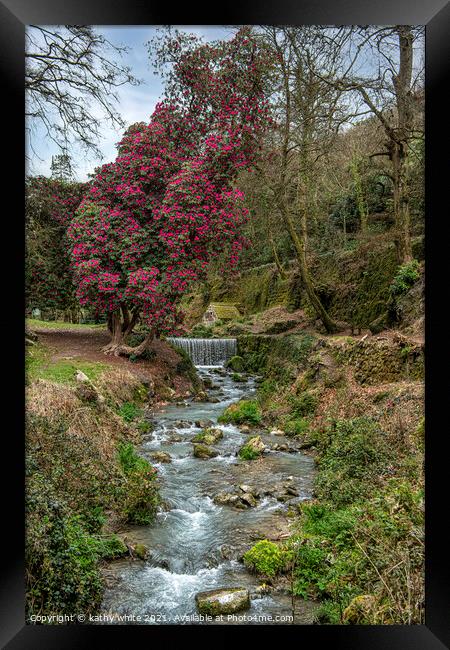 St Austell Cornwall, Menacuddle Well. and waterfal Framed Print by kathy white
