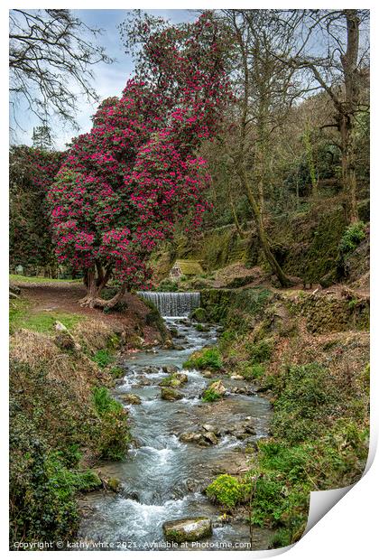 St Austell Cornwall, Menacuddle Well. and waterfal Print by kathy white