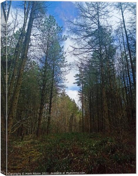 A walk in the Woods  Canvas Print by Mark Ritson
