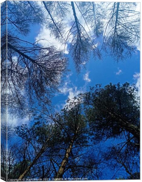 The Tree Tops  Canvas Print by Mark Ritson