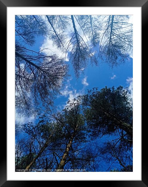 The Tree Tops  Framed Mounted Print by Mark Ritson