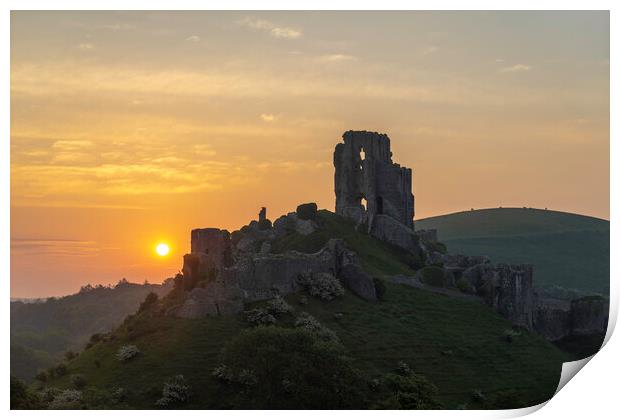Corfe Castle Print by Andrew Sharpe