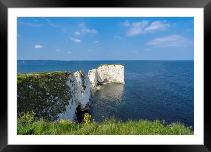 Old Harry Rocks, Dorset coast Framed Mounted Print by Andrew Sharpe