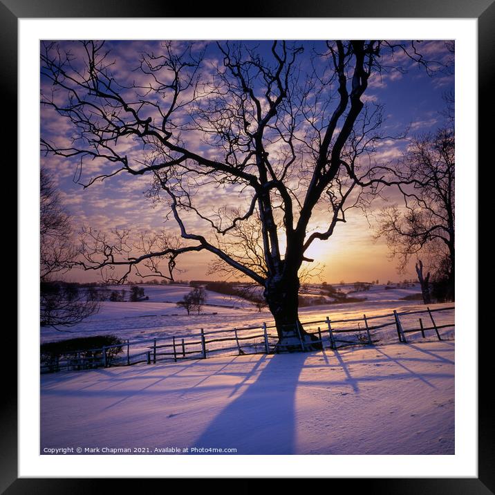 Tree silhouette snowy Winter sunset, Leicestershir Framed Mounted Print by Photimageon UK
