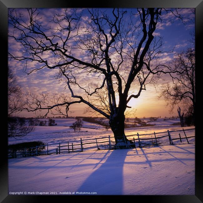 Tree silhouette snowy Winter sunset, Leicestershir Framed Print by Photimageon UK