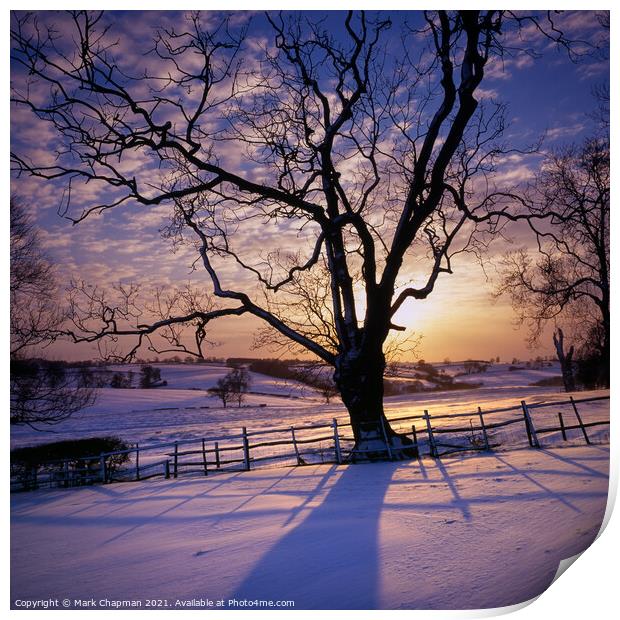 Tree silhouette snowy Winter sunset, Leicestershir Print by Photimageon UK