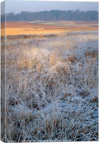 Frosty grass, Bradgate Park, Leicestershire Canvas Print by Photimageon UK