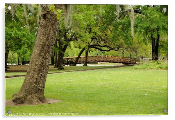 Bridge in the park Acrylic by Beth Rodney