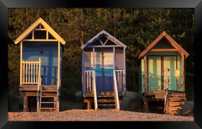 Beach-huts on Wells-next-the-Sea beach, North Norfolk coast Framed Print by Andrew Sharpe