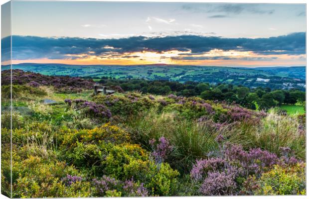 Yorkshire Canvas Print by chris smith
