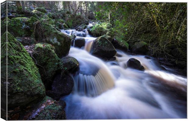 Enchanting Wyming Brook Canvas Print by Andrew Sharpe