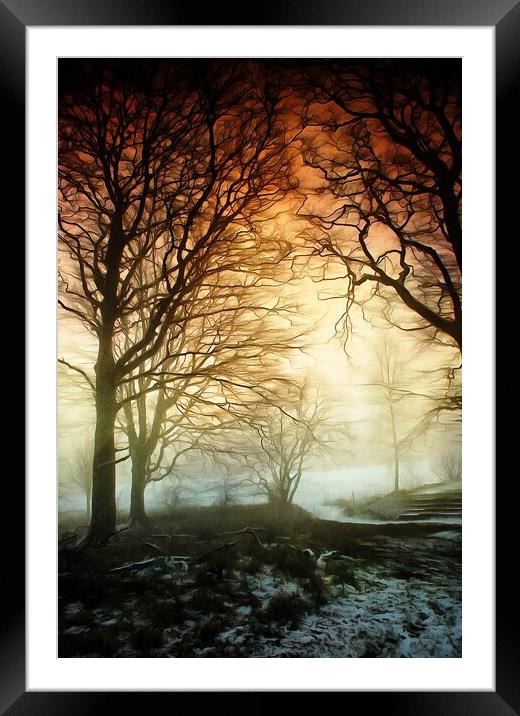 Woods in Winter Fog Framed Mounted Print by David Mccandlish