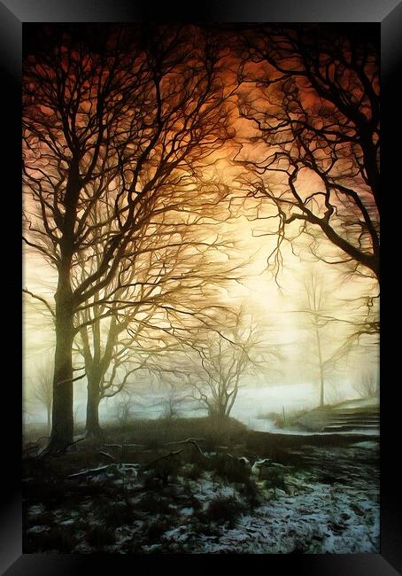 Woods in Winter Fog Framed Print by David Mccandlish
