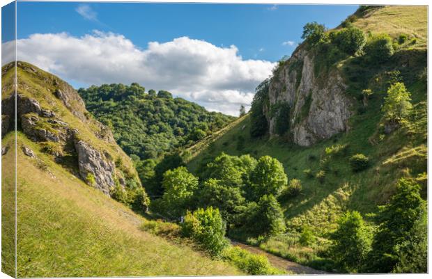 Summer in Dovedale, Peak District, England Canvas Print by Andrew Kearton
