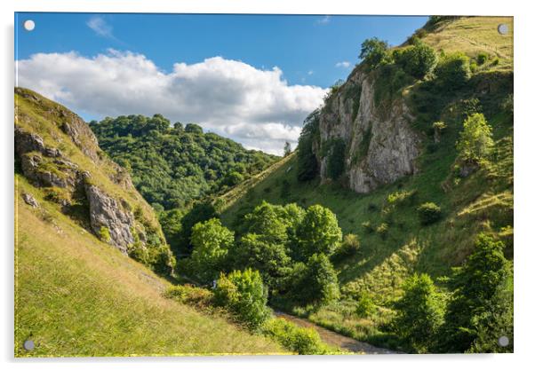 Summer in Dovedale, Peak District, England Acrylic by Andrew Kearton