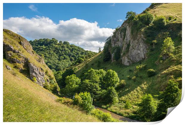 Summer in Dovedale, Peak District, England Print by Andrew Kearton