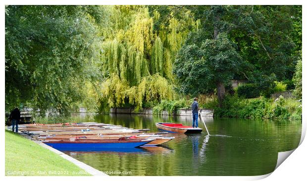 Going Punting Print by Allan Bell