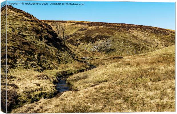 Source of the Grwyne Fawr River Black Mountains Canvas Print by Nick Jenkins