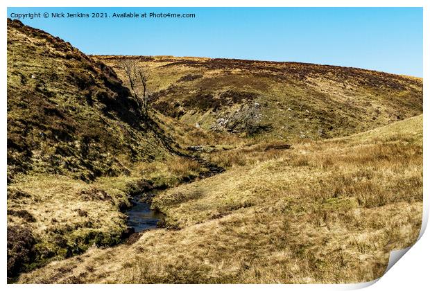 Source of the Grwyne Fawr River Black Mountains Print by Nick Jenkins