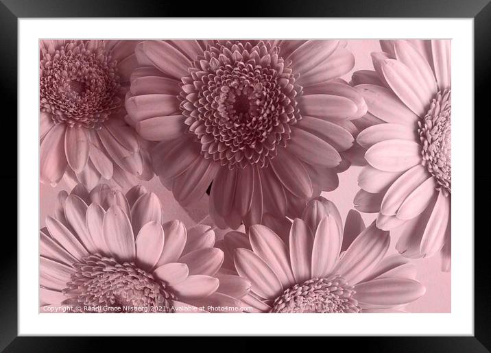 Blooming Closely Framed Mounted Print by Randi Grace Nilsberg