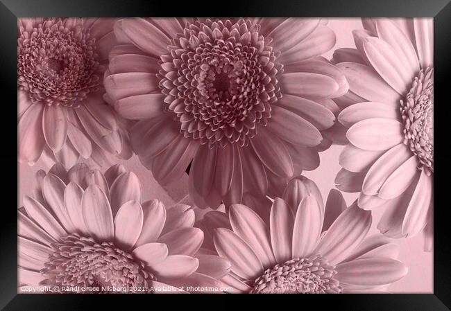 Blooming Closely Framed Print by Randi Grace Nilsberg