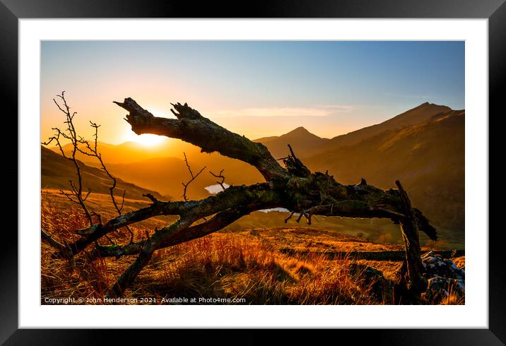 Sunset tree Framed Mounted Print by John Henderson