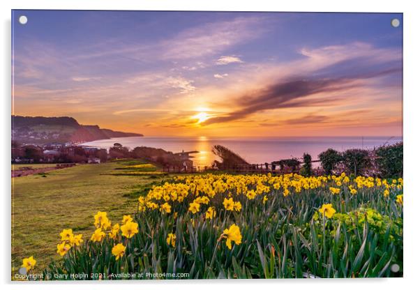 Daffodil Sunrise Acrylic by Gary Holpin