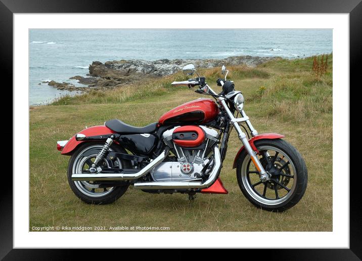 Harley Davidson 883 Superlow Framed Mounted Print by Rika Hodgson