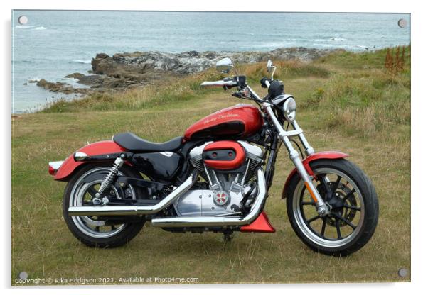 Harley Davidson 883 Superlow Acrylic by Rika Hodgson