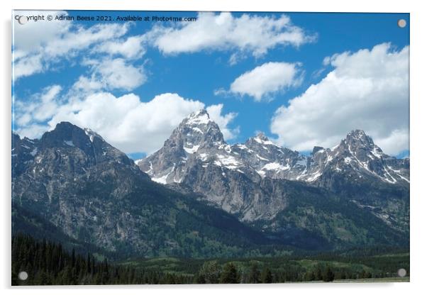 The Grand Teton Mountain Range Acrylic by Adrian Beese