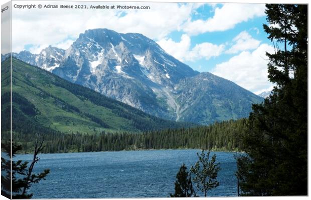 Grand Teton from Jenny Lake Canvas Print by Adrian Beese
