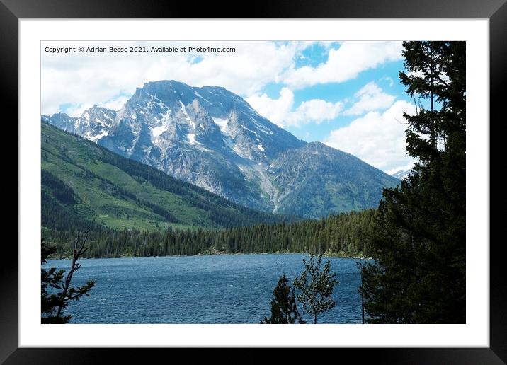 Grand Teton from Jenny Lake Framed Mounted Print by Adrian Beese