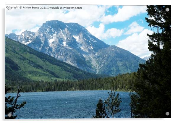 Grand Teton from Jenny Lake Acrylic by Adrian Beese