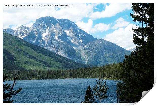 Grand Teton from Jenny Lake Print by Adrian Beese