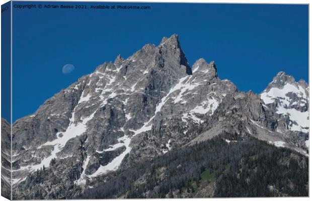Moonrise over the Tetons Canvas Print by Adrian Beese