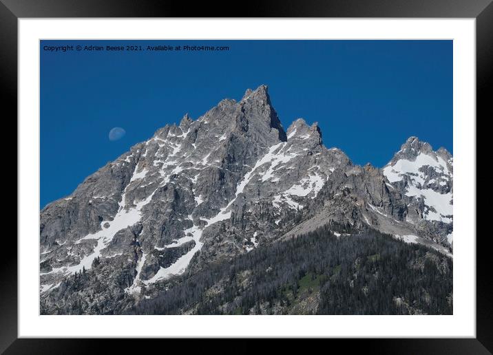 Moonrise over the Tetons Framed Mounted Print by Adrian Beese