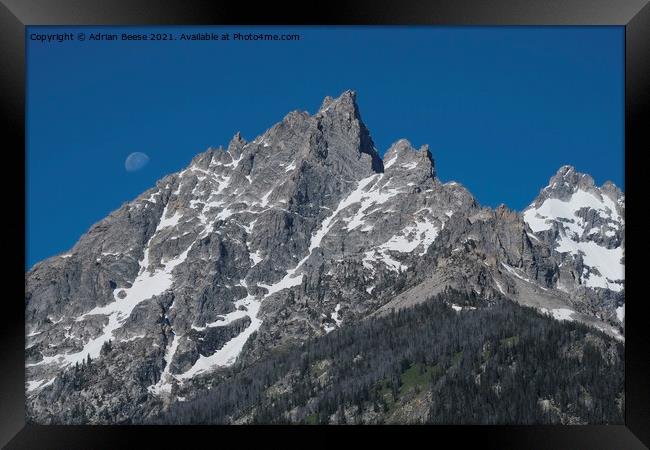 Moonrise over the Tetons Framed Print by Adrian Beese