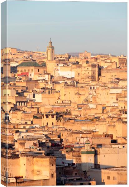 The Medina in Fez, Morocco in the early monring light Canvas Print by Neil Overy