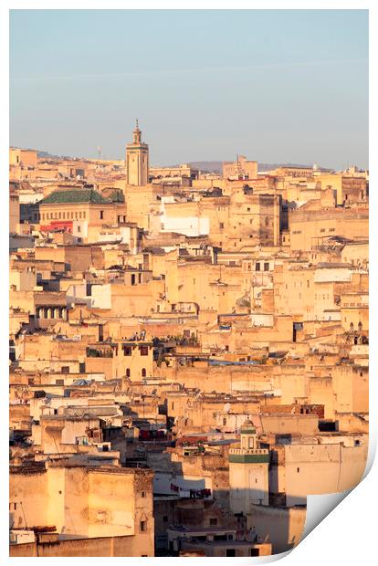 The Medina in Fez, Morocco in the early monring light Print by Neil Overy