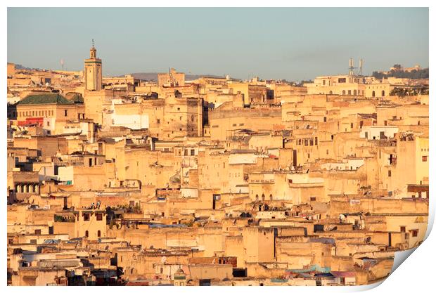 The Medina in Fez, Morocco in the early monring light Print by Neil Overy