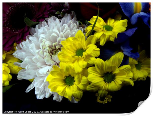 Beautiful bunch of mixed isolated flower blooms. Print by Geoff Childs