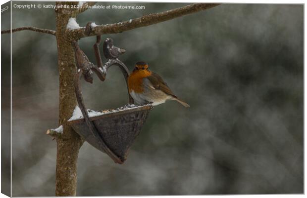 Robin in Snow, Robin Red breast perching in the sn Canvas Print by kathy white