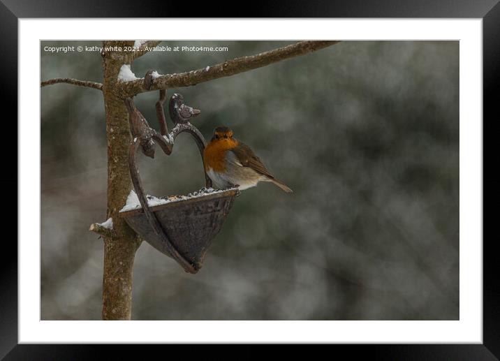 Robin in Snow, Robin Red breast perching in the sn Framed Mounted Print by kathy white